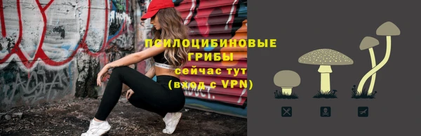 мяу мяу кристалл Няндома