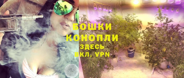 PSILOCYBIN Галич