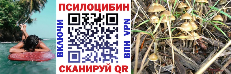 Галлюциногенные грибы Magic Shrooms Кадников